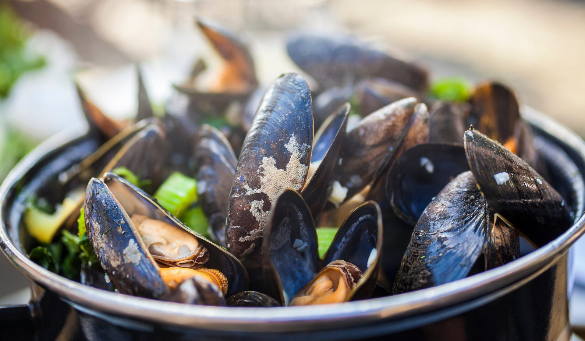Mosselen eten in Wijchen bij Sterrebosch